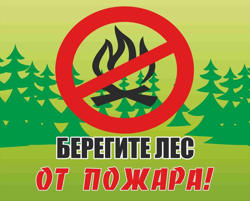 Начинается прием заявок на участие в распределении разрешений на добычу кабана старше одного года