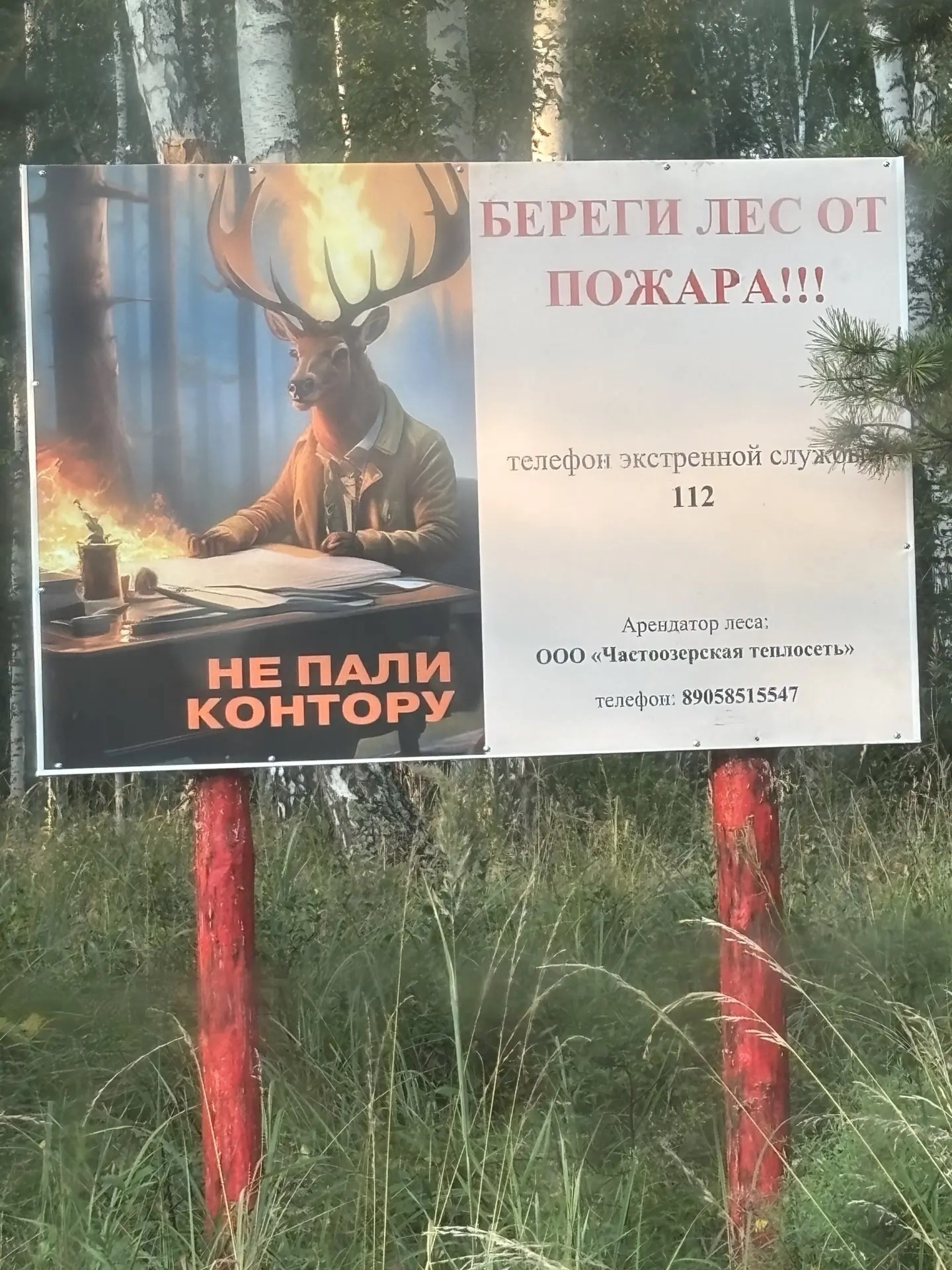 Жара в лесах Курганской области: как не допустить беды?