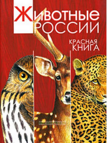 О порядке действий в отношении животных, занесенных в Красную книгу России, состояние которых не позволяет им существовать в естественной среде обитания без помощи человека (Курганская межрайонная природоохранная прокуратура напоминает)
